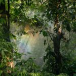 Taller arte y naturaleza