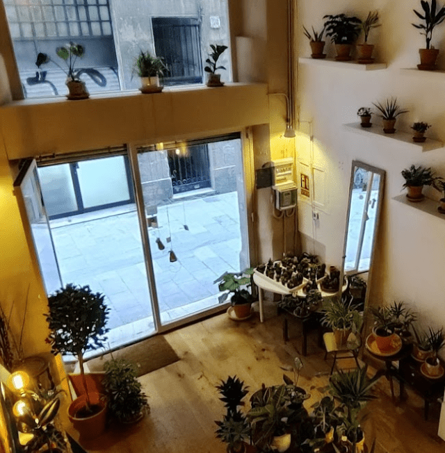 Wildernest