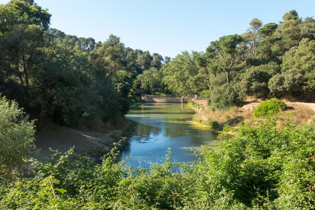 Collserola